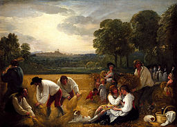 Harvest at Windsor