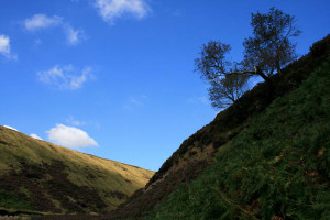 Hanging from a Cliff